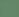 Evergreen Stripe Evergreen Stripe
