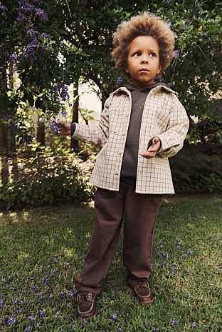 Check Shacket