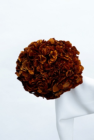 Preserved Large-Leaf Hydrangea Stem