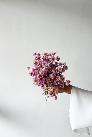 Dried Daisy Bunch