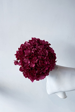 Preserved Large-Leaf Hydrangea Stem