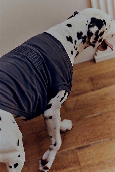 Enzo Australian Cotton Heritage Sweat
